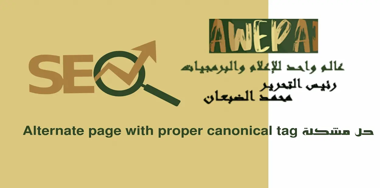 حل خطأ Alternate page with proper canonical tag 